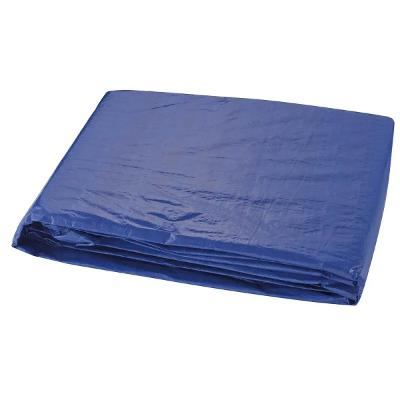Lona Encerado 5M X 4M 100 Micras Azul Kala