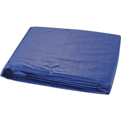 Lona De Polietileno 10m X 8m 200 Micras Azul Worker