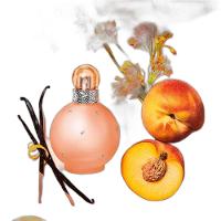 Perfume Fantasy Naked Britney Spears Eau de Toilette Feminino - 100 ml - 3