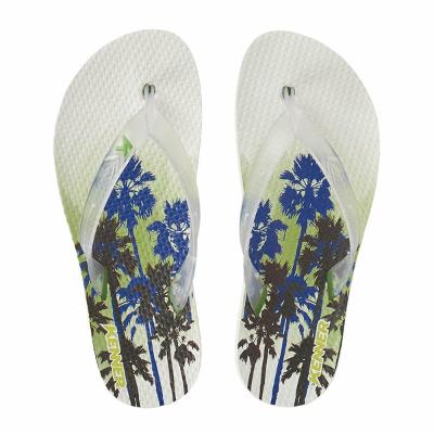 Chinelo Kenner Summer Carnauba Masculino - Branco e Verde