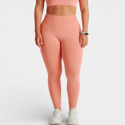Calça Legging Lupo Seamless Basic Feminina - Coral