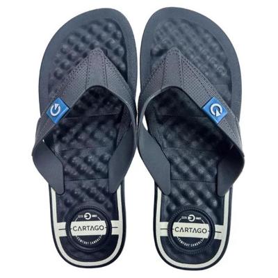 Chinelo Cartago Arizona Masculino - Azul e Cinza