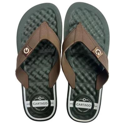 Chinelo Cartago Arizona Masculino - Verde e Marrom