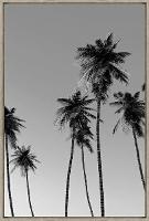 Quadro Decorativo De Canvas Palm Beach B 60 X 90 cm - Visage - 3