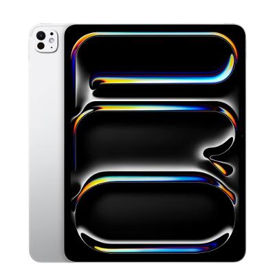 Apple iPad Pro 13" M4, Wi-Fi, vidro nano-texture, 2T - Prateado