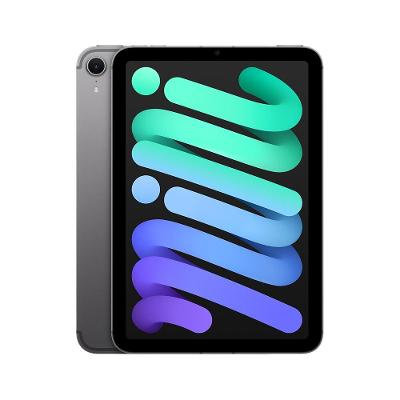 Apple iPad mini, A17 Pro, Wi‑Fi + Cellular 128 GB – Cinza‑espacial