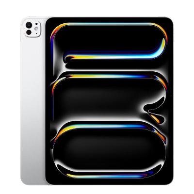 Apple iPad Pro 13" M4, Wi-Fi, 2T - Prateado