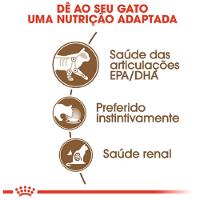 Ração Úmida Royal Canin Sachê Ageing 12+ para Gatos Adultos Acima de 12 anos - 85 g - 2