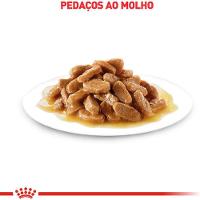 Ração Úmida Royal Canin Sachê Ageing 12+ para Gatos Adultos Acima de 12 anos - 85 g - 3