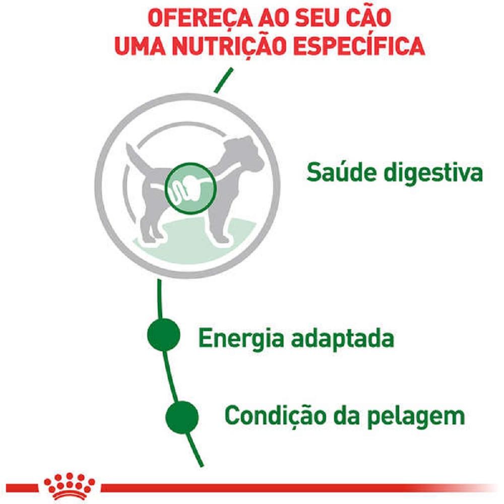 Ração Úmida Mini Adult para Cães Adultos de Porte Pequeno Sachê 85G Royal Canin - 2