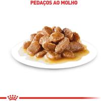 Ração Úmida Mini Adult para Cães Adultos de Porte Pequeno Sachê 85G Royal Canin - 3
