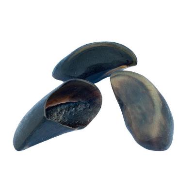 Casco de Boi 3un  - priorizar envio do produto PURETOY
