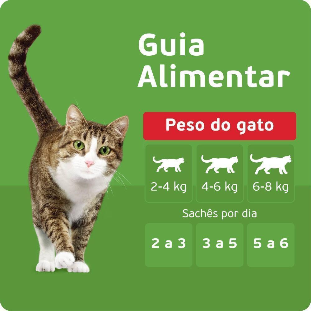 Ração Úmida Kitekat Sachê Peixe ao Molho para Gatos Adultos 70 g - 1