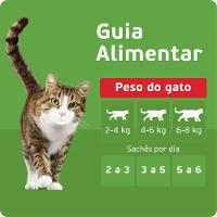 Ração Úmida Kitekat Sachê Peixe ao Molho para Gatos Adultos 70 g - 2
