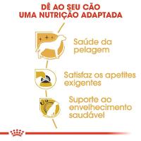 Ração Seca para Cães Adultos da Raça Yorkshire Royal Canin 1Kg - 2