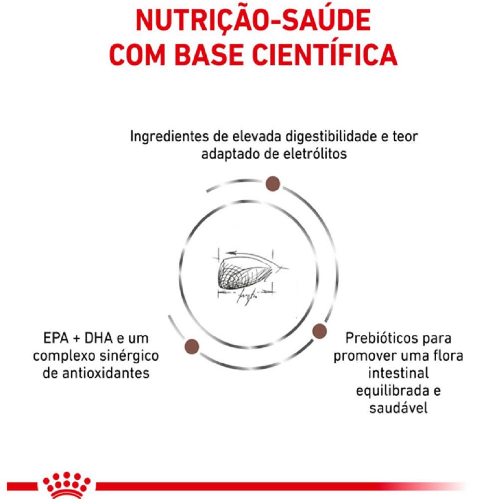 Ração Seca Veterinary Diet Gastrointestinal Gatos com Doenças Intestinais Royal Canin 1,5Kg - 3