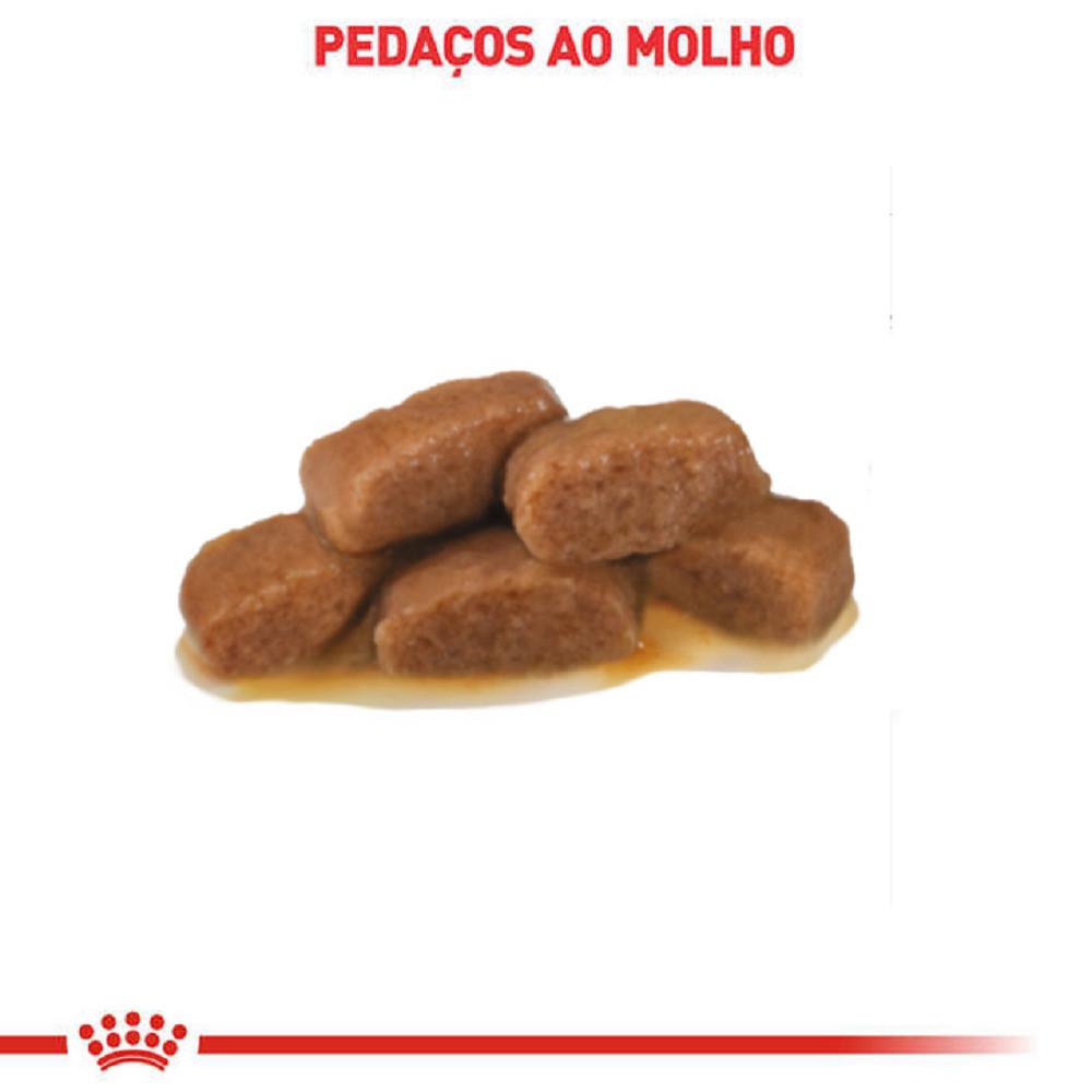 Ração Úmida Veterinary Diet Gastrointestinal Gatos com Doenças Intestinais Royal Canin Sachê 85G - 2