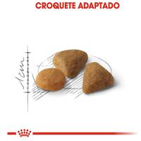 Ração Seca Royal Canin Exigent para Gatos Adultos com Paladar Exigente 400G - 3