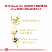 Ração Seca Royal Canin Pomeranian para Cães Adultos da Raça Lulu da Pomerânia 2,5Kg - 2