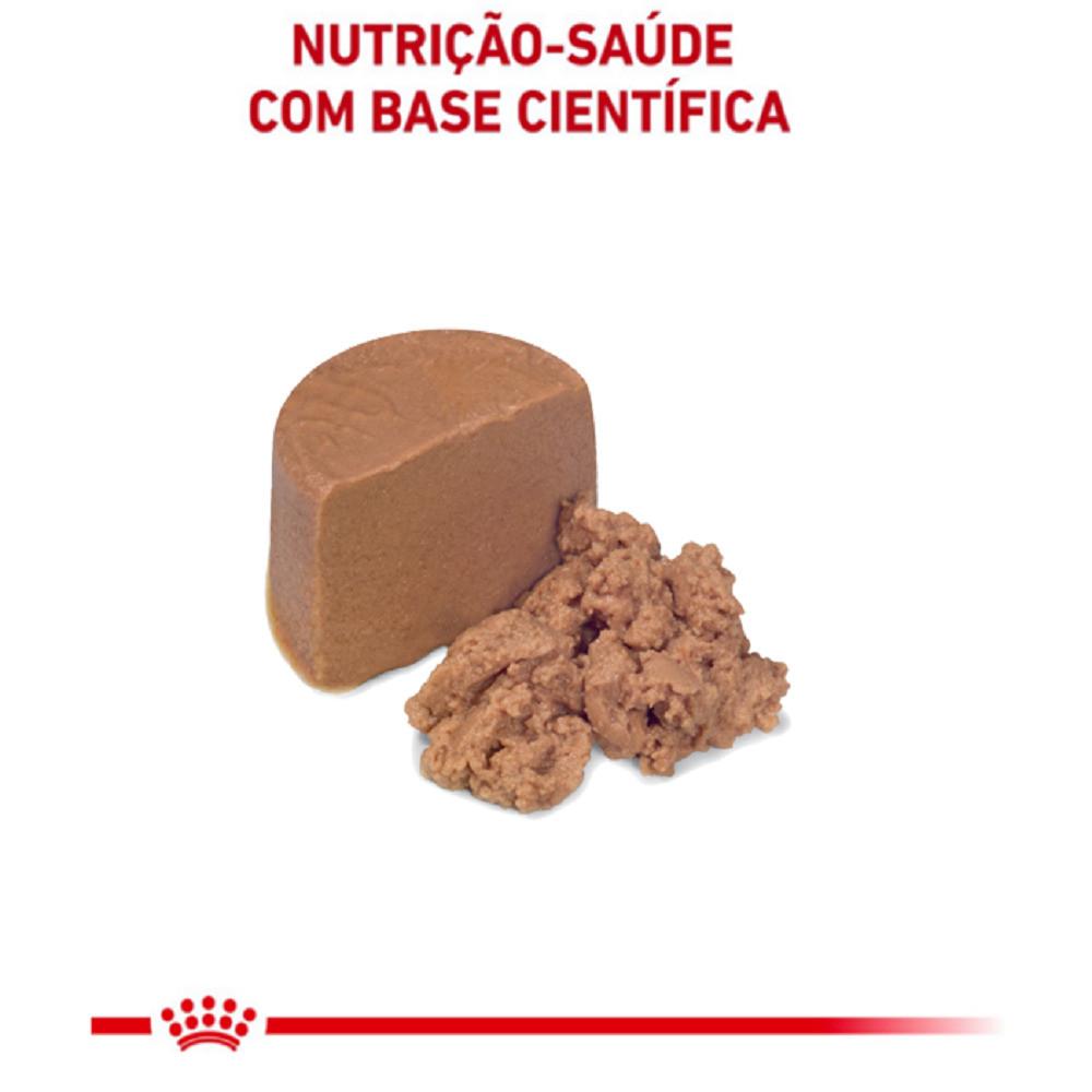 Ração Úmida Royal Canin Lata Veterinary Diet Recovery para Cães e Gatos em Recuperação 195g - 2