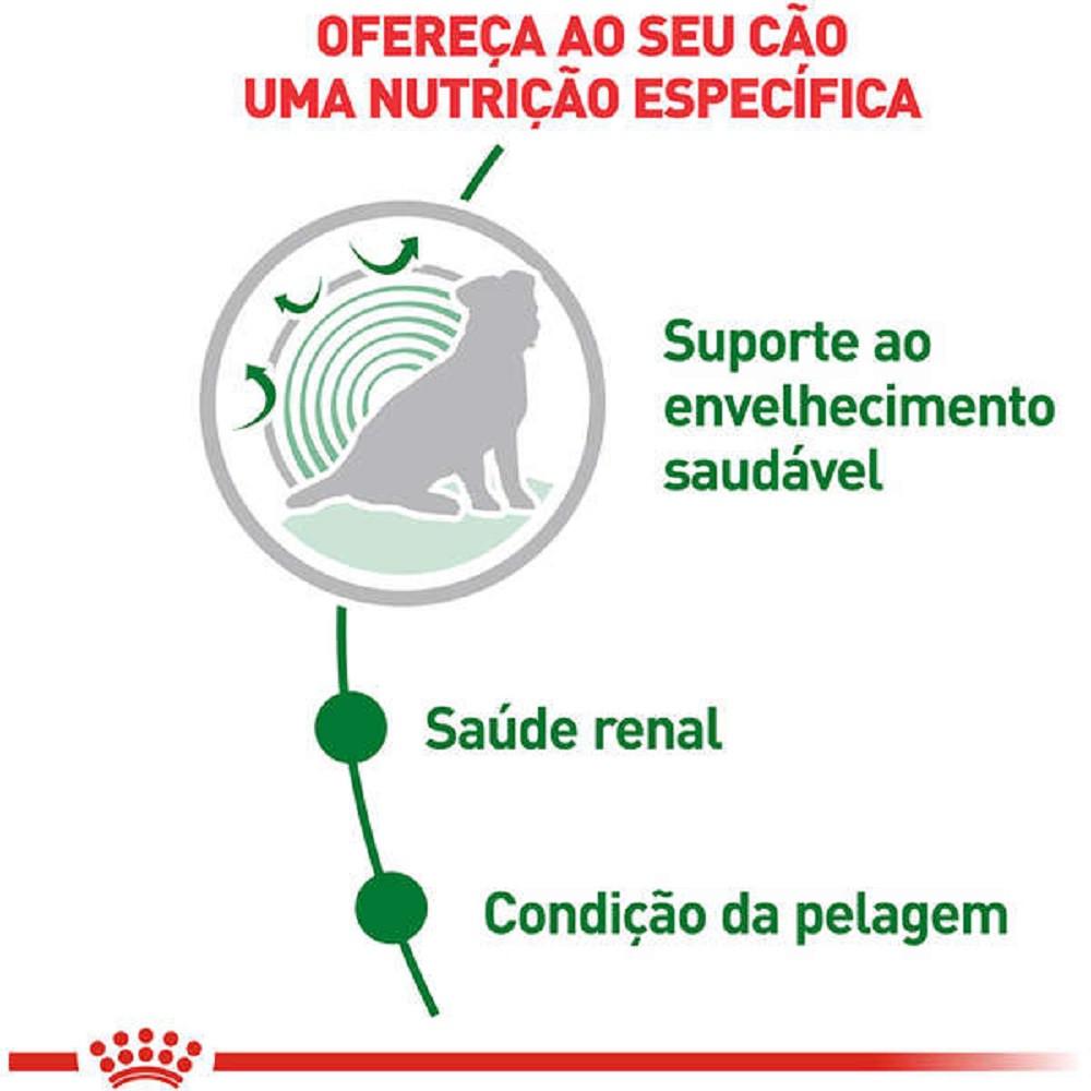 Ração Úmida Royal Canin Mini Ageing 12+ para Cães Senior de Porte Pequeno com 12 Anos ou Mais 85g - 2