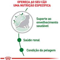 Ração Úmida Royal Canin Mini Ageing 12+ para Cães Senior de Porte Pequeno com 12 Anos ou Mais 85g - 2