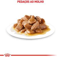 Ração Úmida Royal Canin Mini Ageing 12+ para Cães Senior de Porte Pequeno com 12 Anos ou Mais 85g - 3