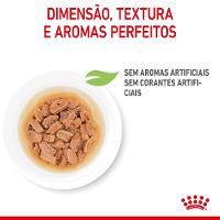 Ração Úmida Royal Canin Mini Puppy para Cães Filhotes de Porte Pequeno 85g - 4
