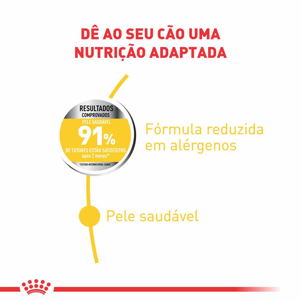 Ração Maxi Dermacomfort para Cães Adultos e Senior de Porte Grande 10,1kg Royal Canin - 2