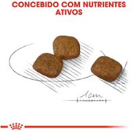 Ração Cuidado da Pelagem para Cães Adultos de Porte Pequeno 2,5kg Royal Canin - 3