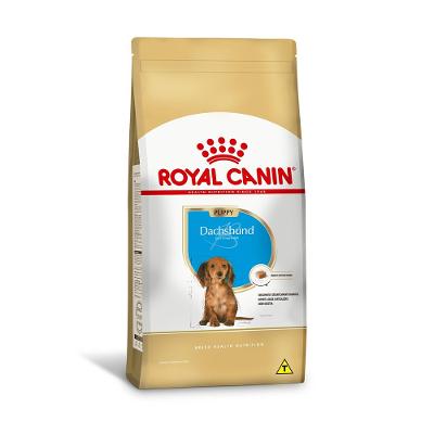 Ração Dachshund para Cães Filhotes 2,5kg Royal Canin