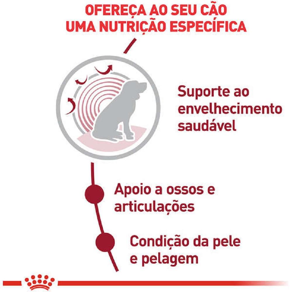 Ração Medium Ageing 10 para Cães Senior de Porte Médio com 10 Anos ou mais 15kg Royal Canin - 2