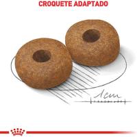 Ração Medium Ageing 10 para Cães Senior de Porte Médio com 10 Anos ou mais 15kg Royal Canin - 3