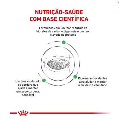Ração Seca Veterinary Diet Diabetic para Cães com Diabetes 10,1Kg Royal Canin