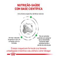 Ração Seca Veterinary Diet Satiety Support para Cães Adultos com Excesso de Peso 10Kg Royal Canin - 3