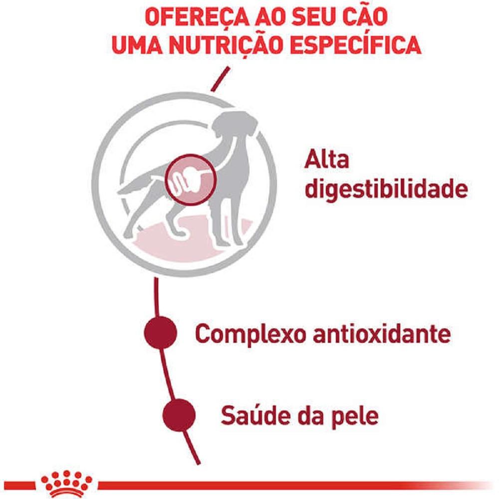 Ração Úmida Medium Adult para Cães Adultos de Porte Médio Royal Canin 140g - 2