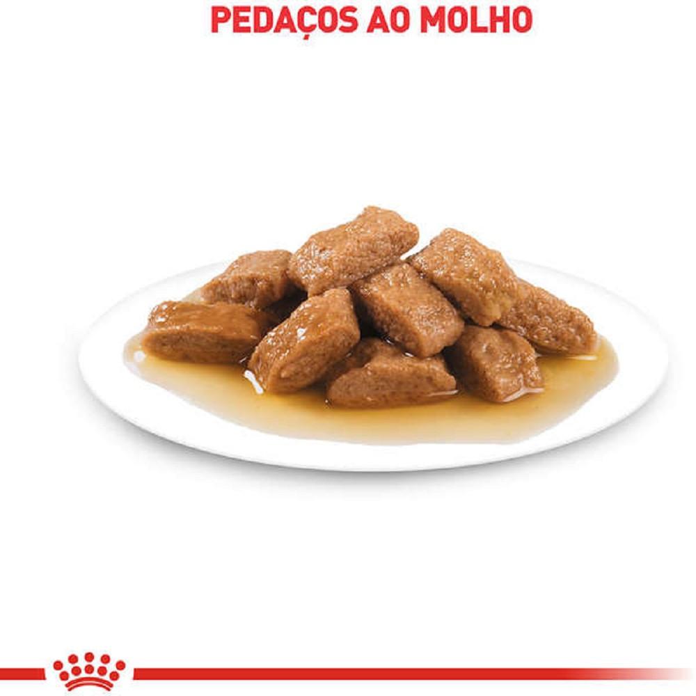 Ração Úmida Medium Adult para Cães Adultos de Porte Médio Royal Canin 140g - 3