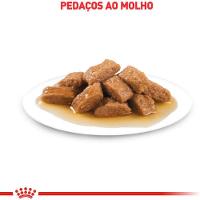 Ração Úmida Medium Adult para Cães Adultos de Porte Médio Royal Canin 140g - 3