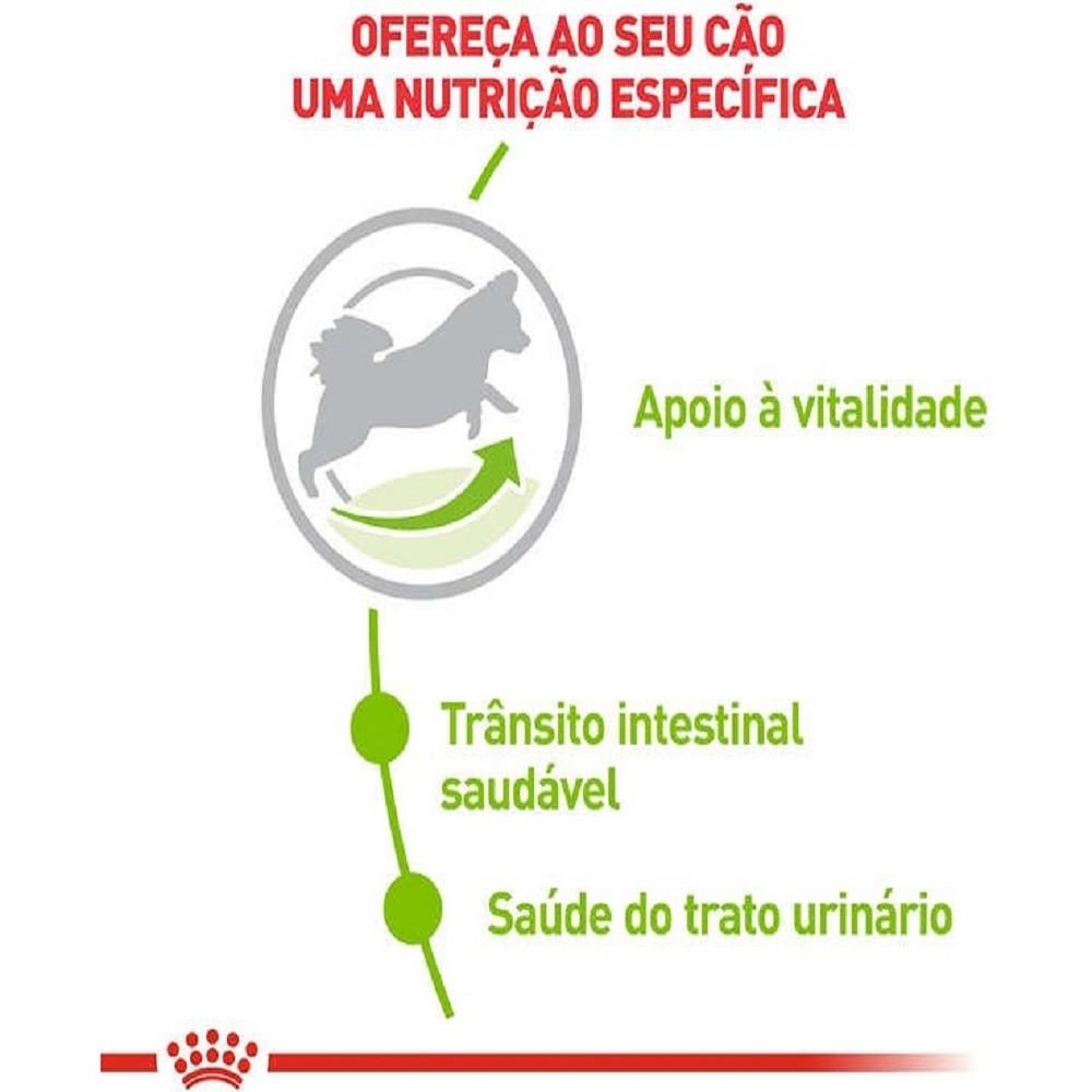 Ração Seca X-Small Adult 8+ para Cães Adultos e Idosos de Porte Miniatura com 8 Anos ou mais 2,5Kg Royal Canin - 2