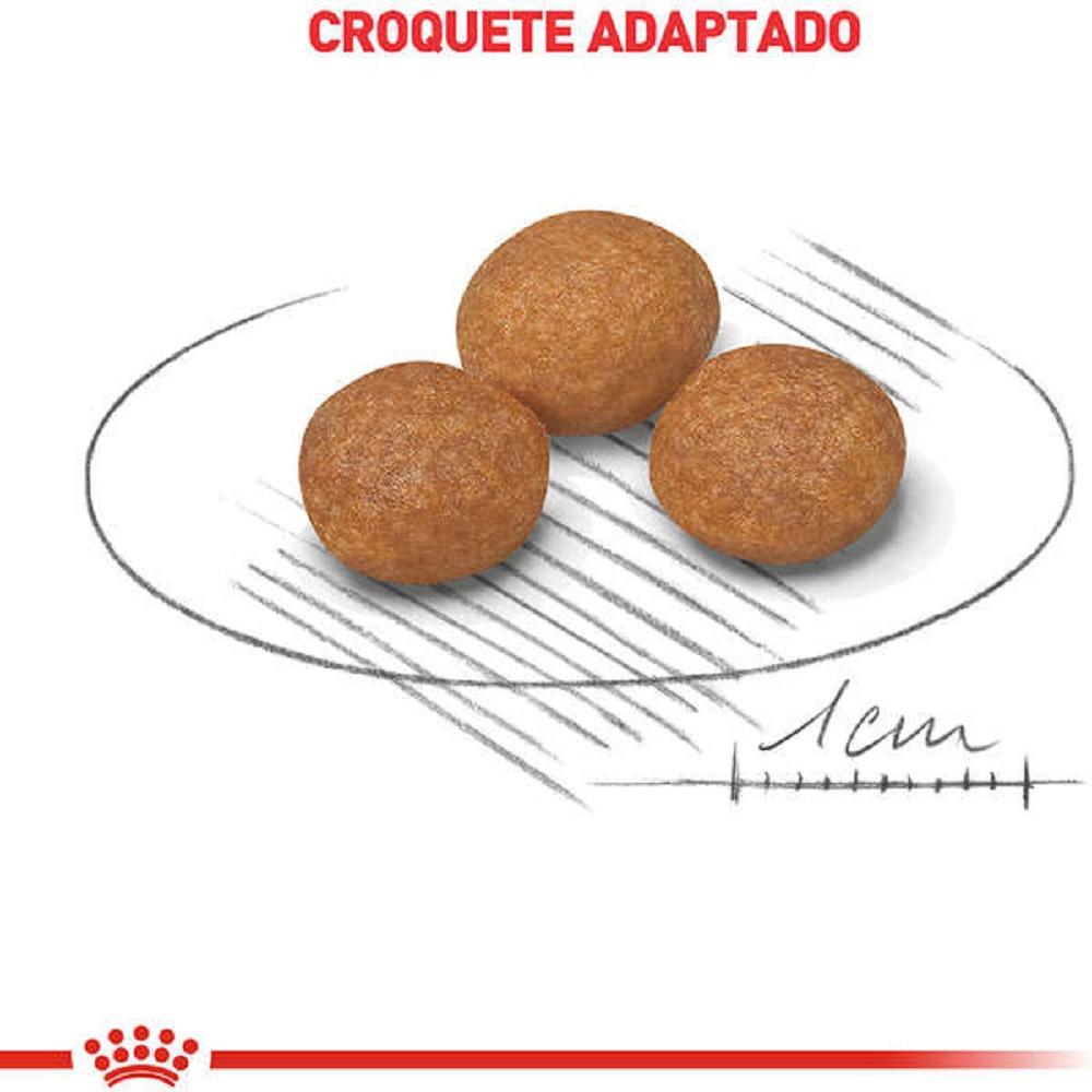 Ração Seca X-Small Adult 8+ para Cães Adultos e Idosos de Porte Miniatura com 8 Anos ou mais 2,5Kg Royal Canin - 3
