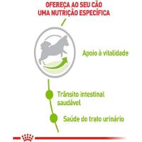 Ração Seca X-Small Adult 8+ para Cães Adultos e Idosos de Porte Miniatura com 8 Anos ou mais 2,5Kg Royal Canin - 2