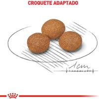 Ração Seca X-Small Adult 8+ para Cães Adultos e Idosos de Porte Miniatura com 8 Anos ou mais 2,5Kg Royal Canin - 3