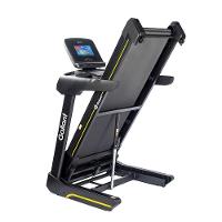 Esteira Ergométrica Elétrica Gallant Smart 4,3hp 20km/H 160kg 220V (GEE15E43A-220PT)