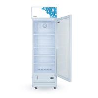 Expositor Refrigerado Visa Cooler Gallant 278L Vidro Duplo 220V - 2