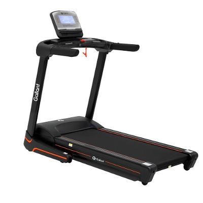 Esteira Ergométrica Elétrica Gallant Elite Pro 4.2hp 18Km/h 220V (GEE12E42A-220PT)