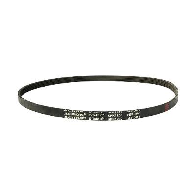 Correia para Bicicleta Ergométrica Spinning Elite Pro Gallant (5PK1230)