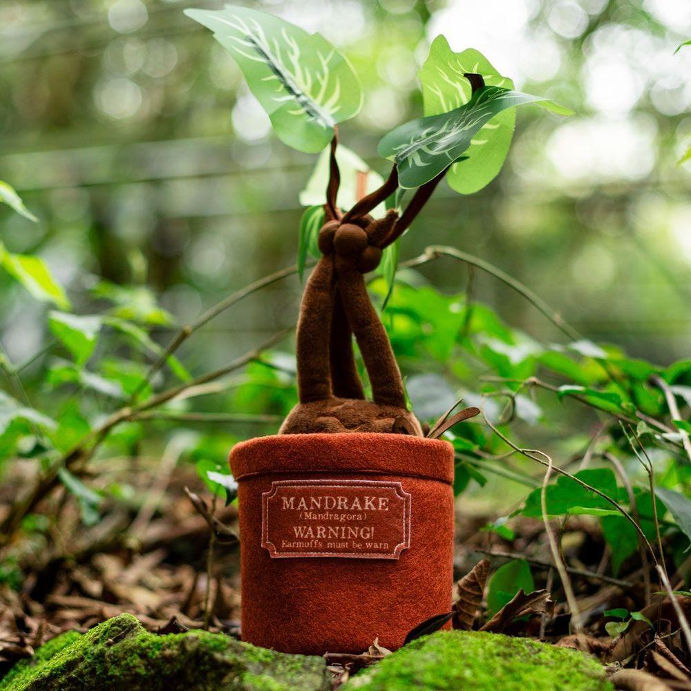 Almofada Com Som Mandragora Harry Potter - 3