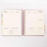 Planner Fun Planos Secretos - 11