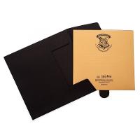 Cartao Harry Potter Pomo de Ouro - 4