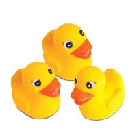 Patinho Baby Bee 3 Filhotes +4 Meses - 1